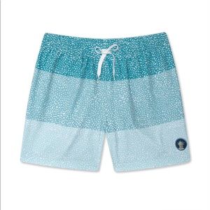 5.5” Classic Swim Trunk in The Whale Sharks